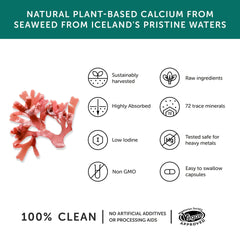 Together Health - Calcium – Vegan Calcium Supplement – 60 Capsules